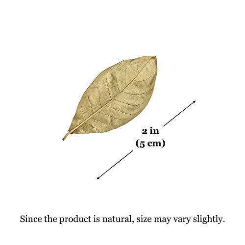 2 Pack IsoPod Leaf Litter Substrate