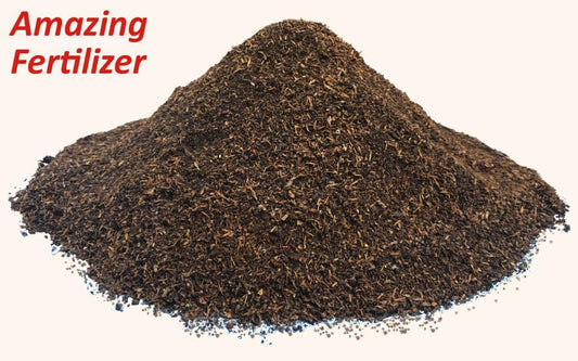 Insect Frass Fertilizer