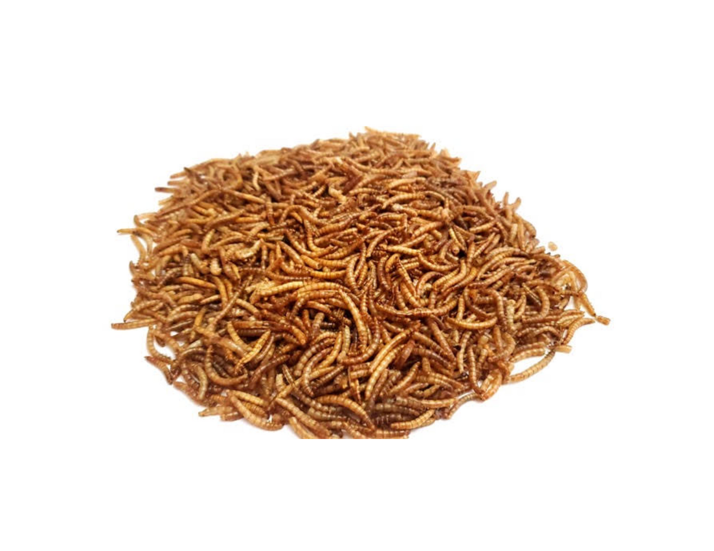 Dried Organic Mealworms | Dehydrated Mealworms