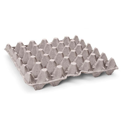 5 x 6 Egg Flats For Feeder Colonies