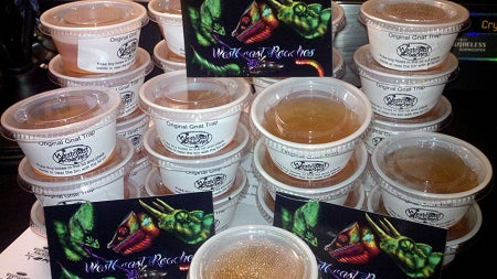 Fruit Fly Traps 6 Pack