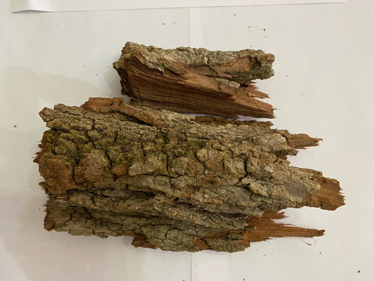 Dried Locust Bark Isopod Bioactive Terrarium