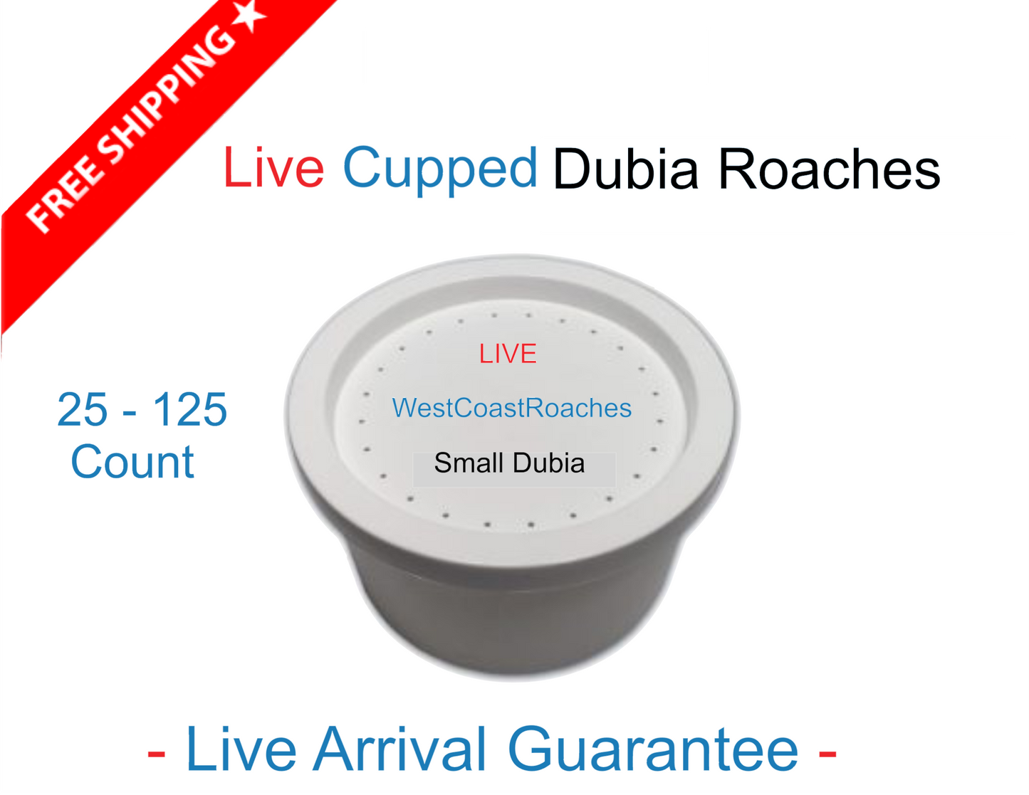 Cupped Dubia Roaches | Dubia Roach Feeders | Reptile Food | Blaptica Dubia