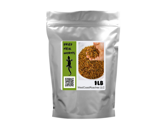 Dried Organic Mealworms | Dehydrated Mealworms