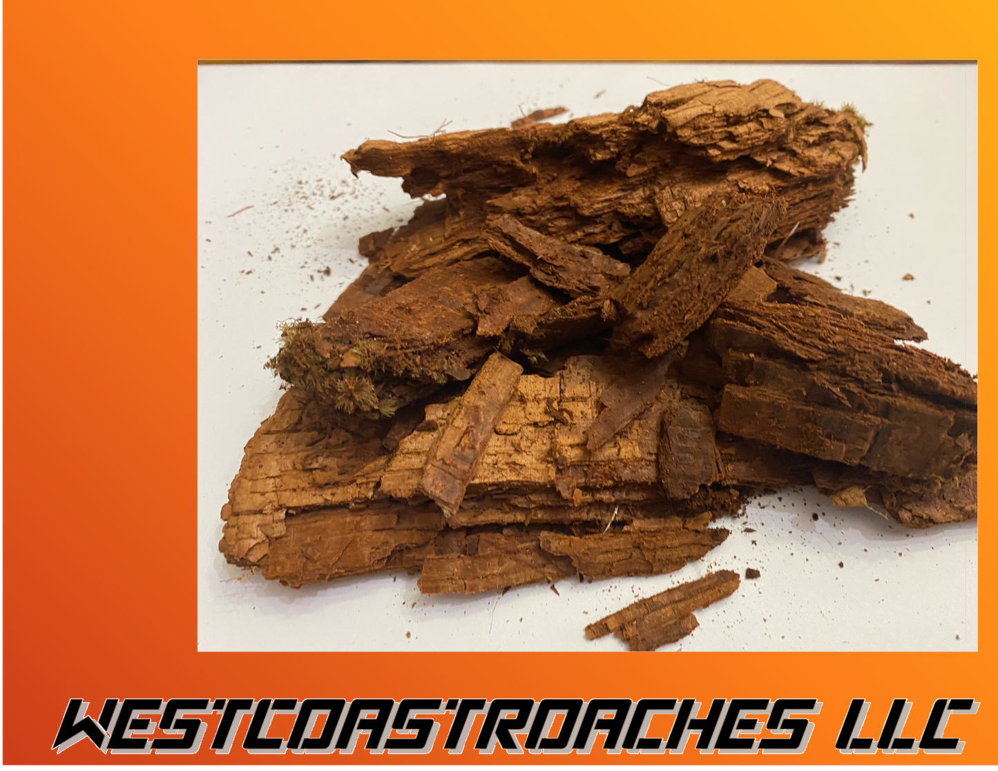 Rotted Stump Bioactive Terrarium Isopod Litter. Heat Treated Isopod Matter