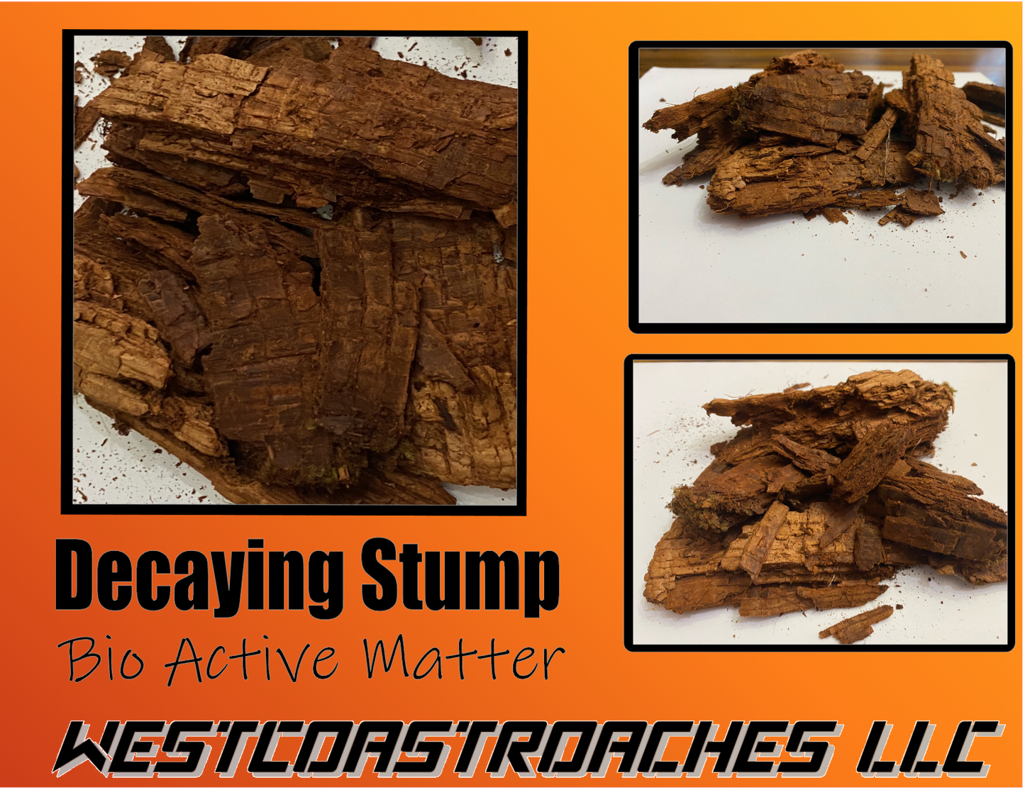 Rotted Stump Bioactive Terrarium Isopod Litter. Heat Treated Isopod Matter
